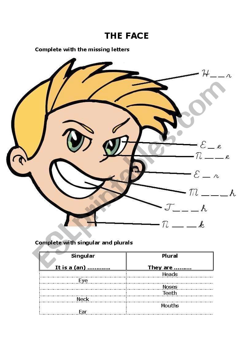 Parts of the Face worksheet