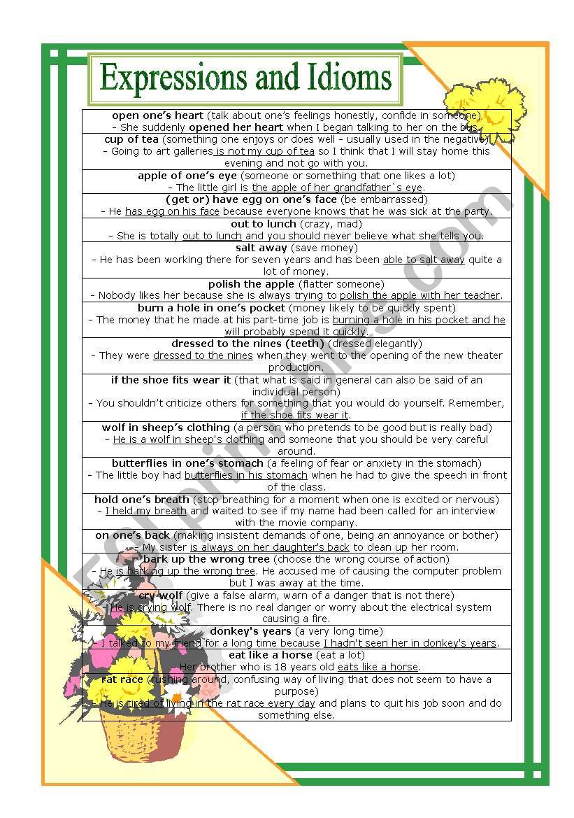 Expressions and Idioms worksheet