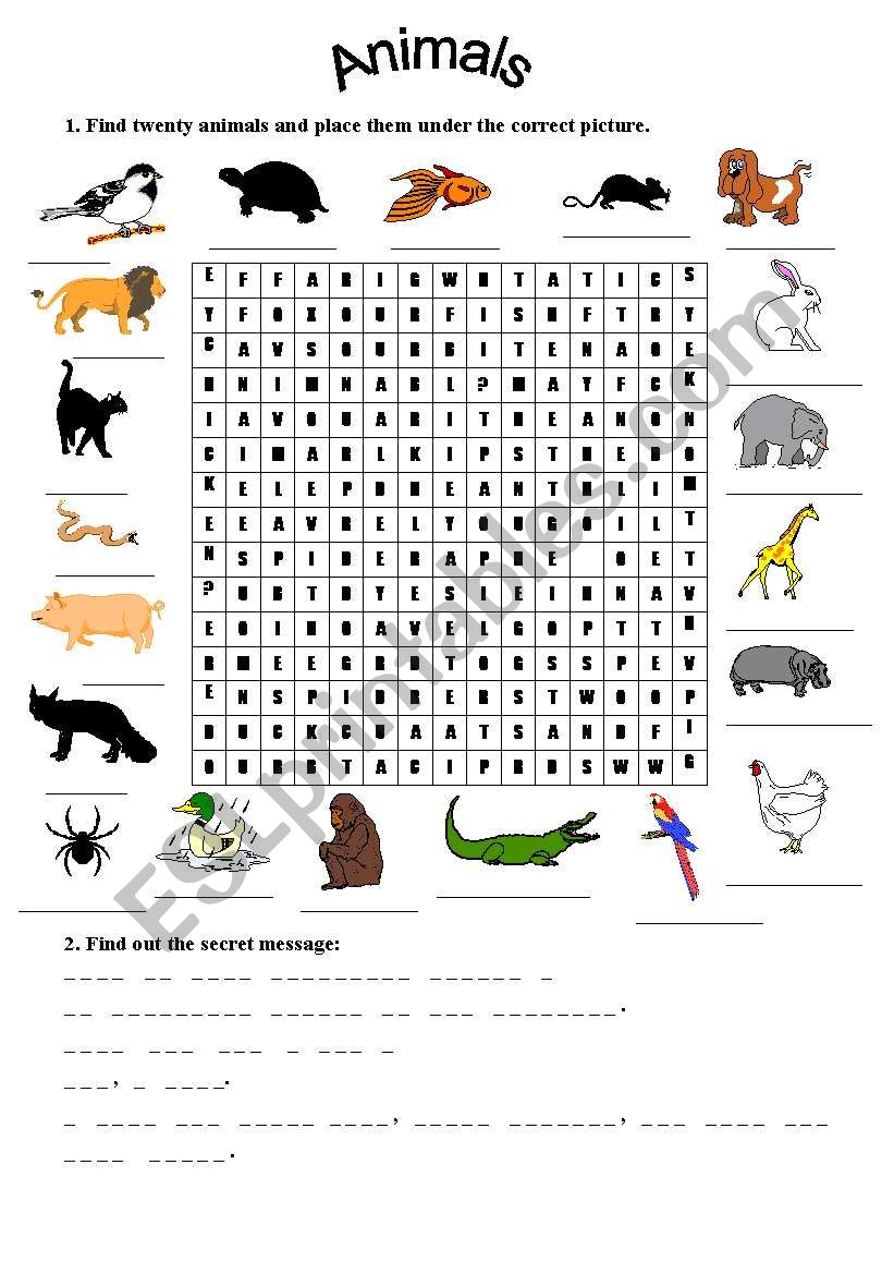 Animals worksheet