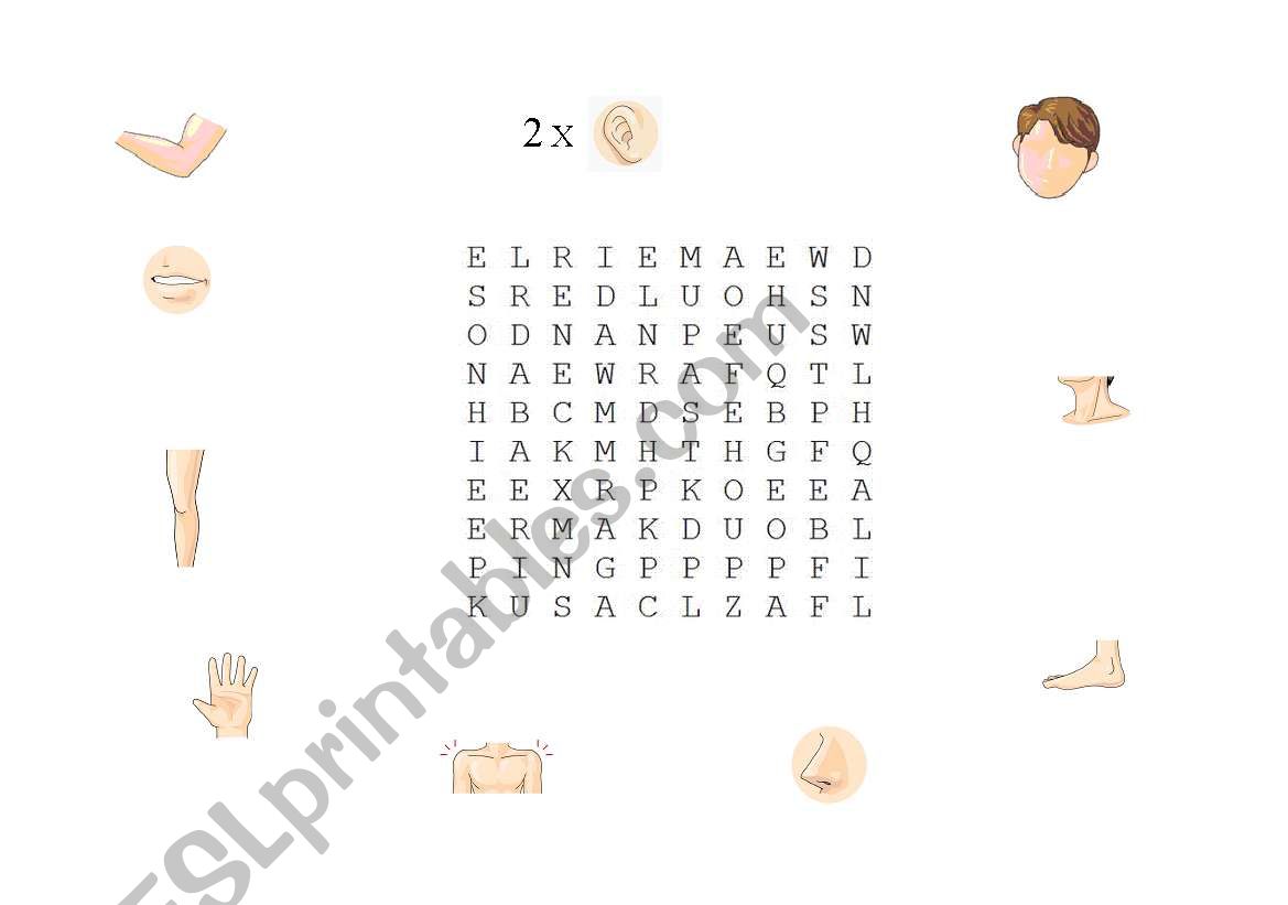 Body parts word search worksheet