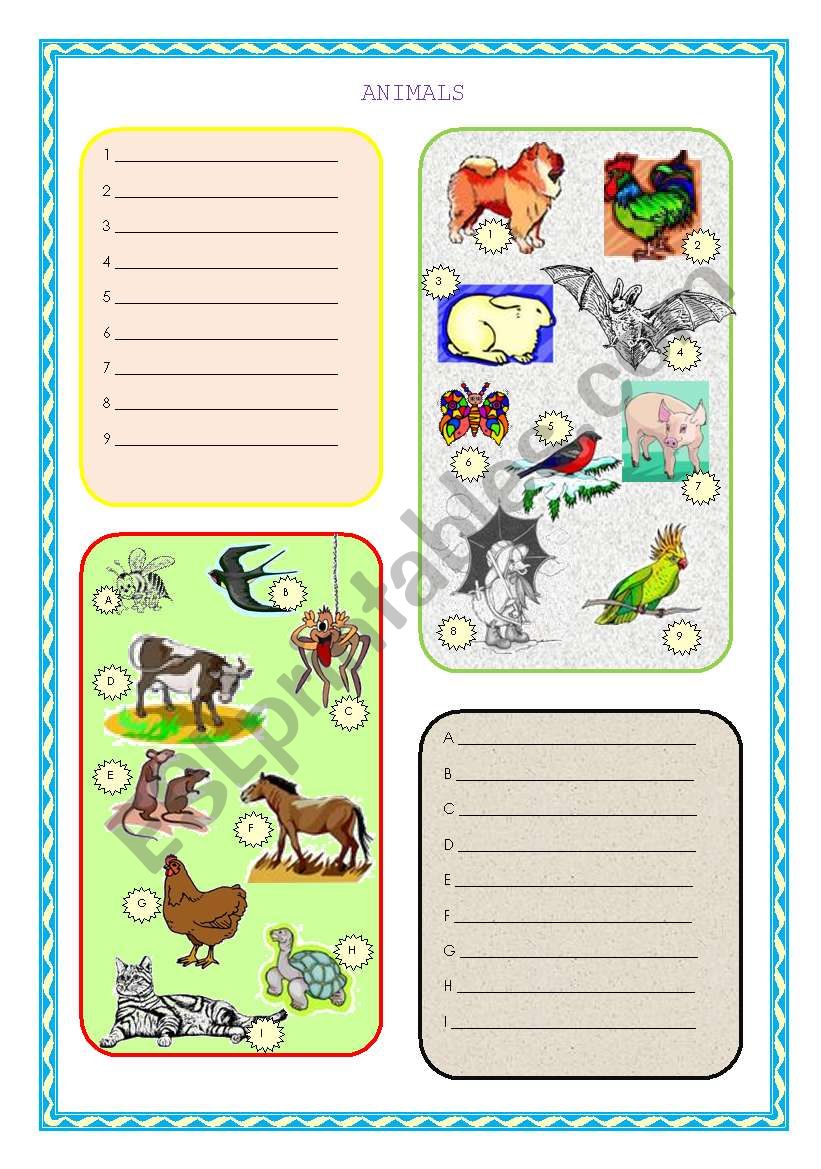 Animals worksheet