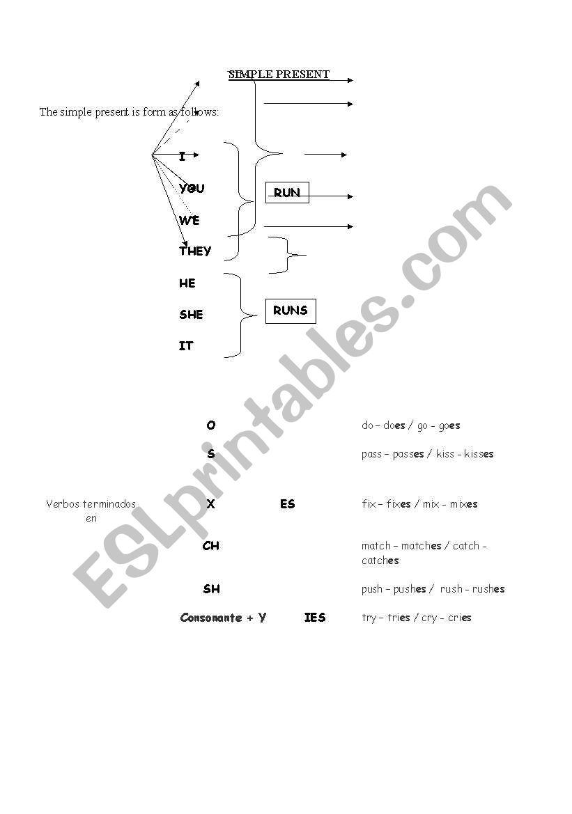 simple present form worksheet