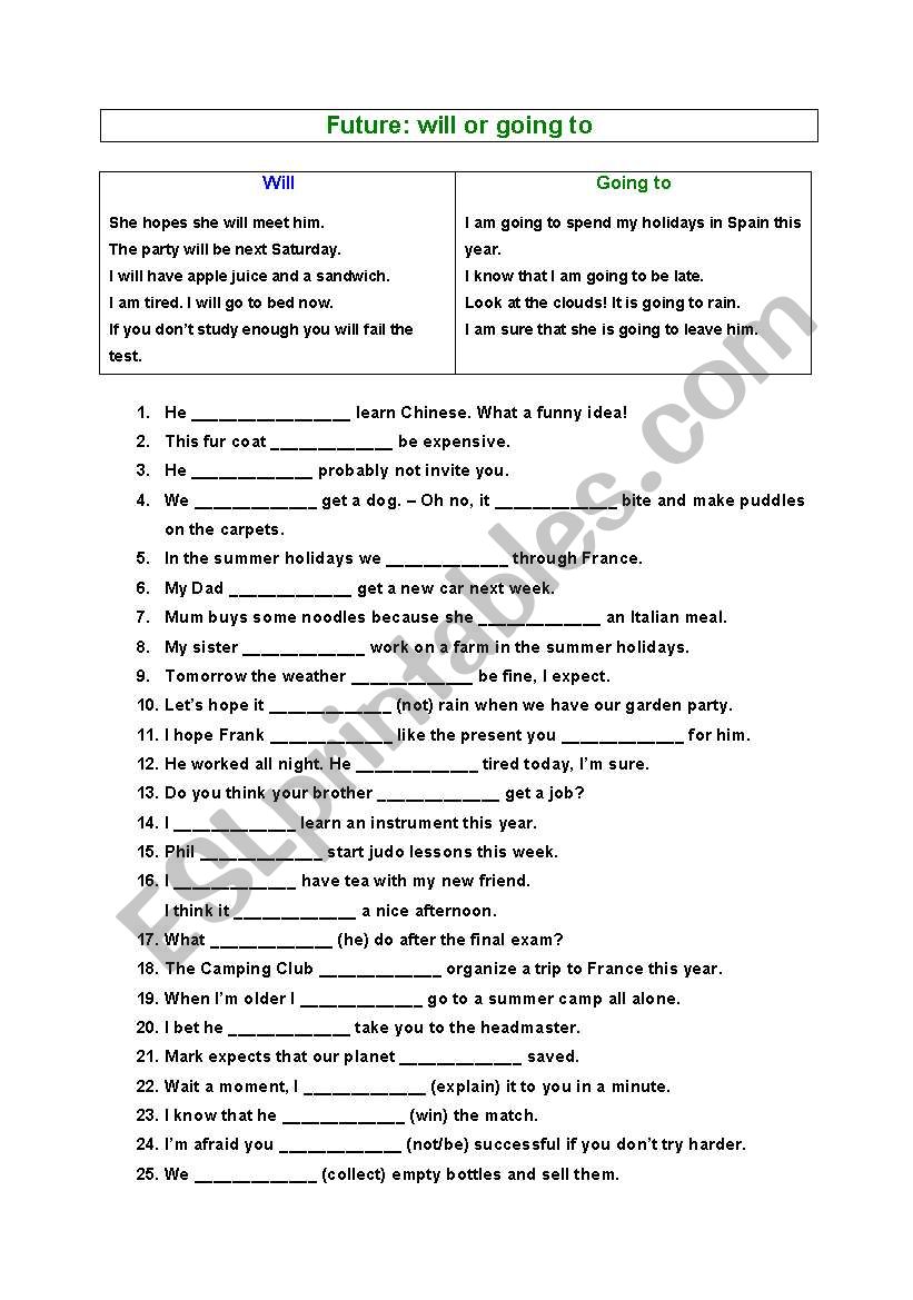 Will / Going to worksheet