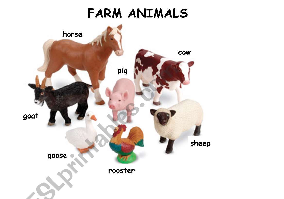 farm animals worksheet