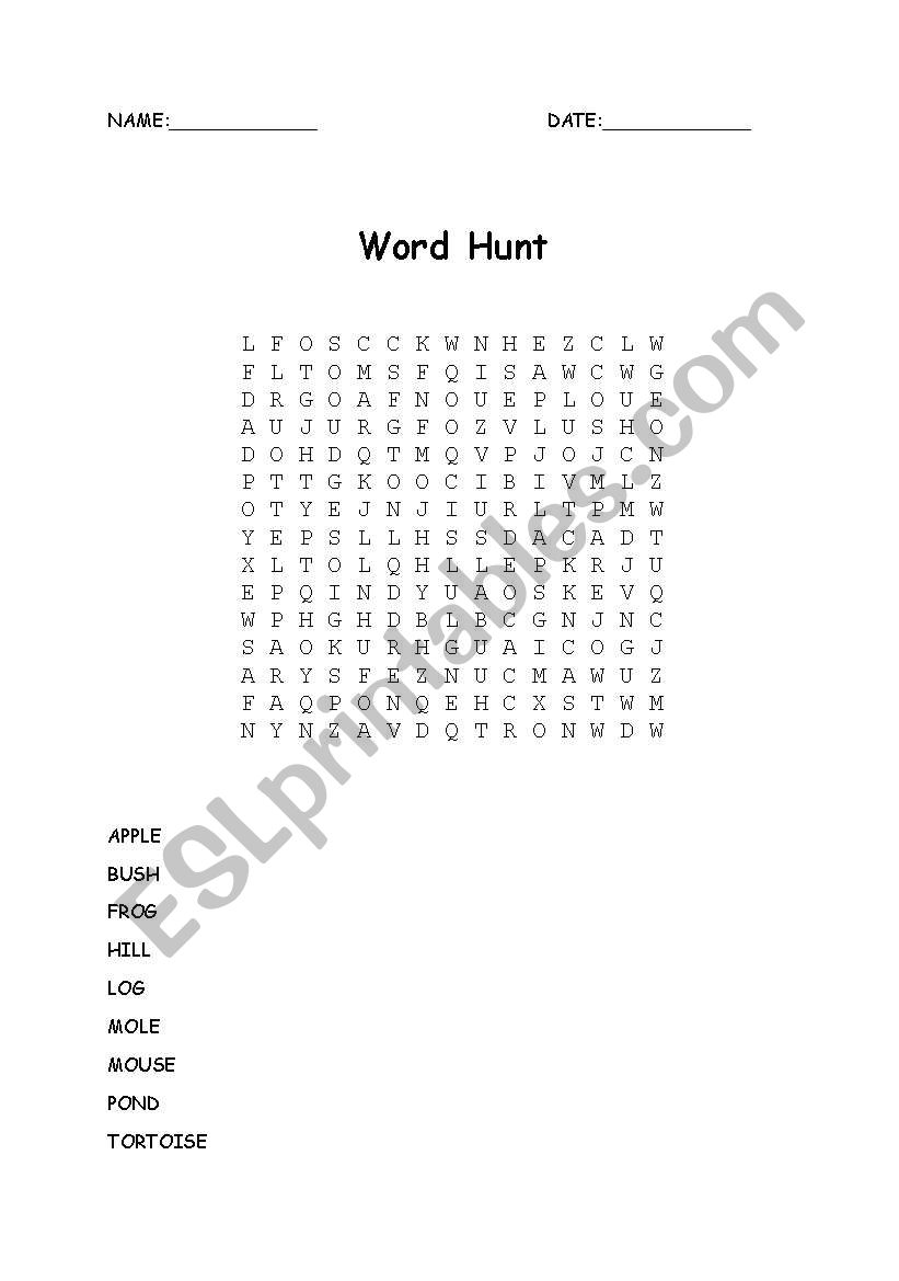 word hunt worksheet