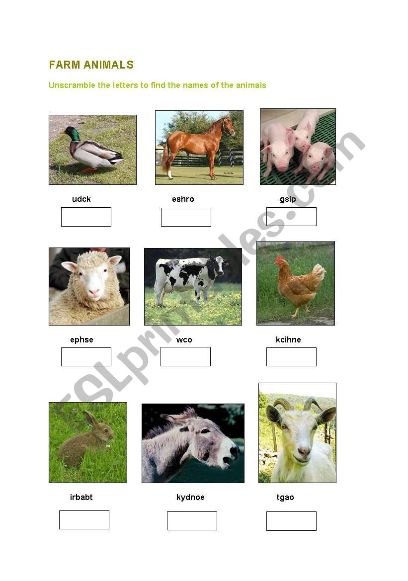 Farm animals worksheet