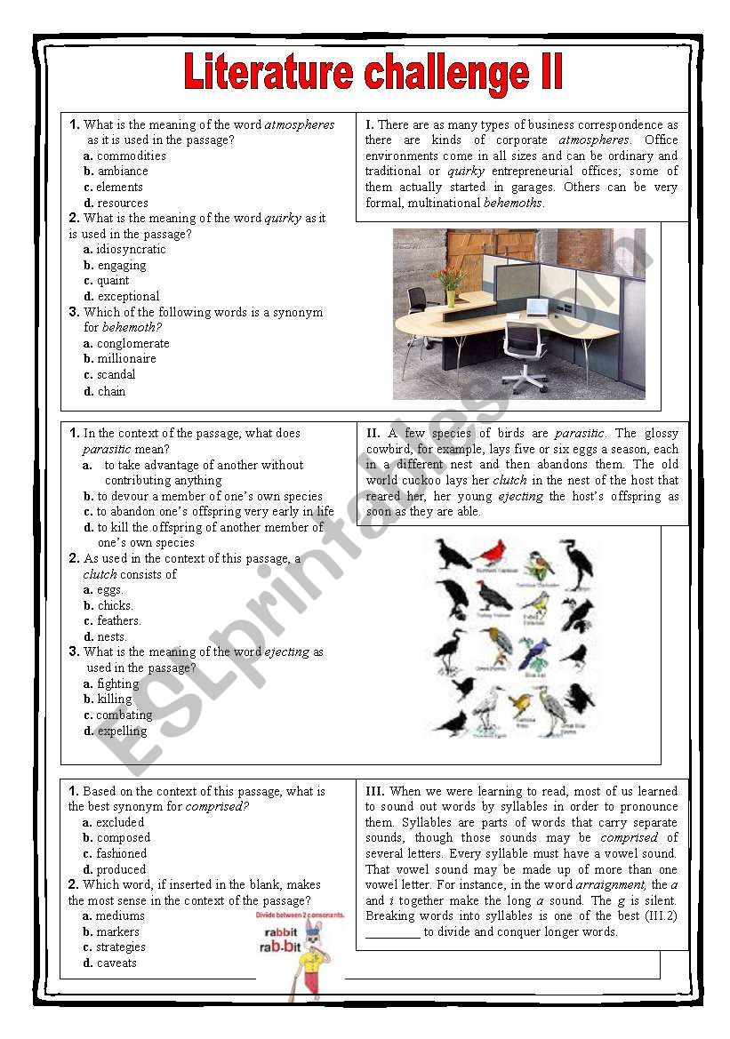 Literature challenge 2 worksheet