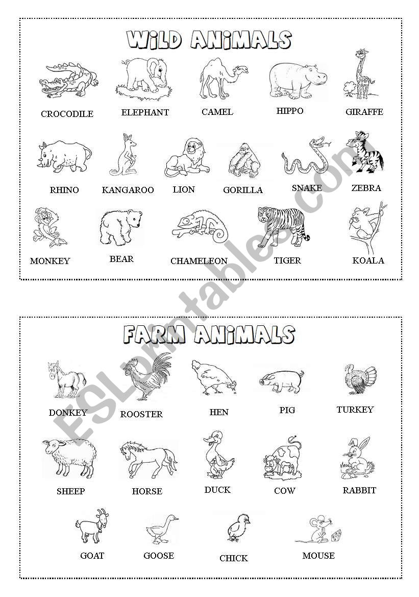 Animal mini-dictionary (B&W) 1/3