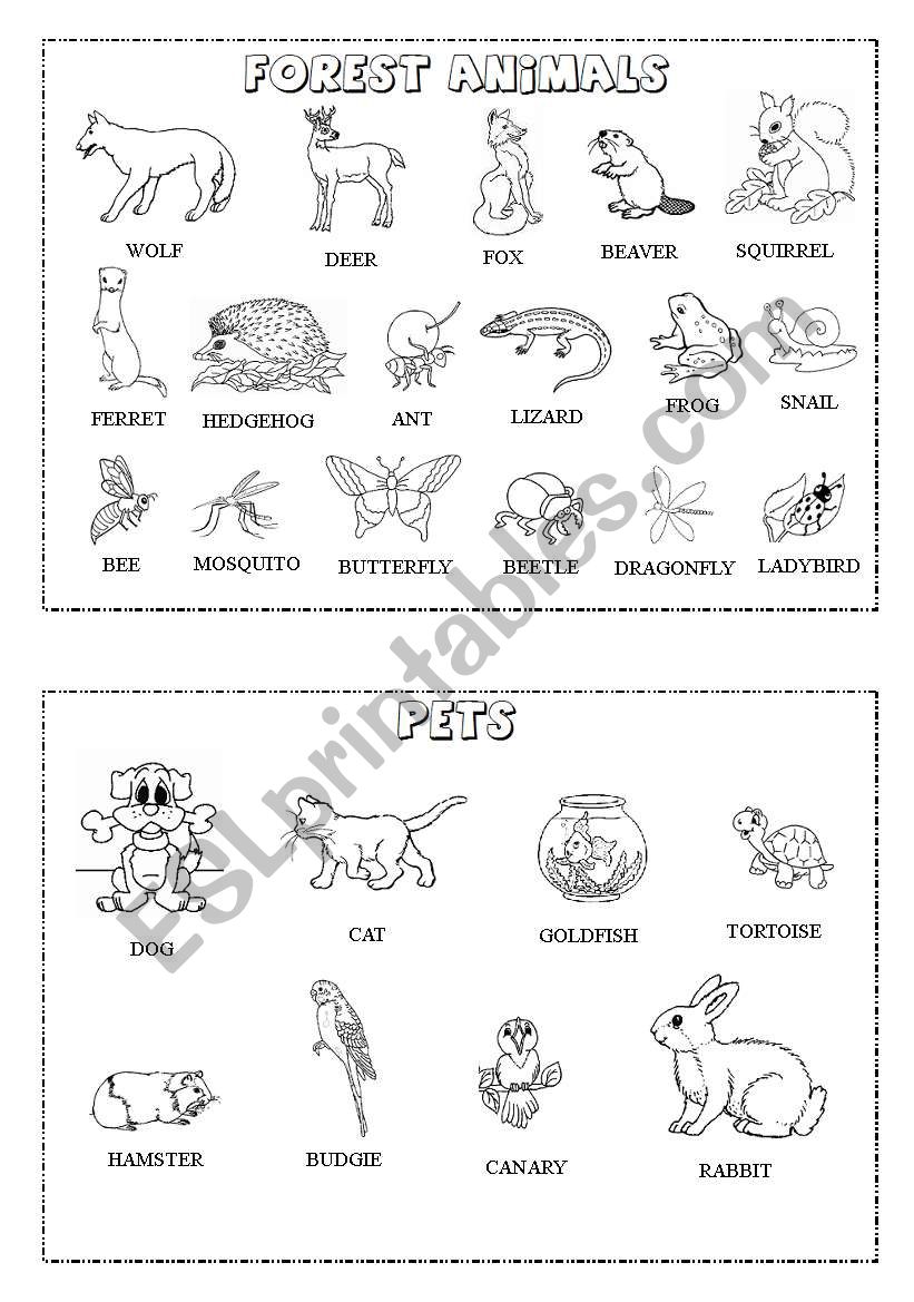 Animal mini-dictionary (B&W) 2/3