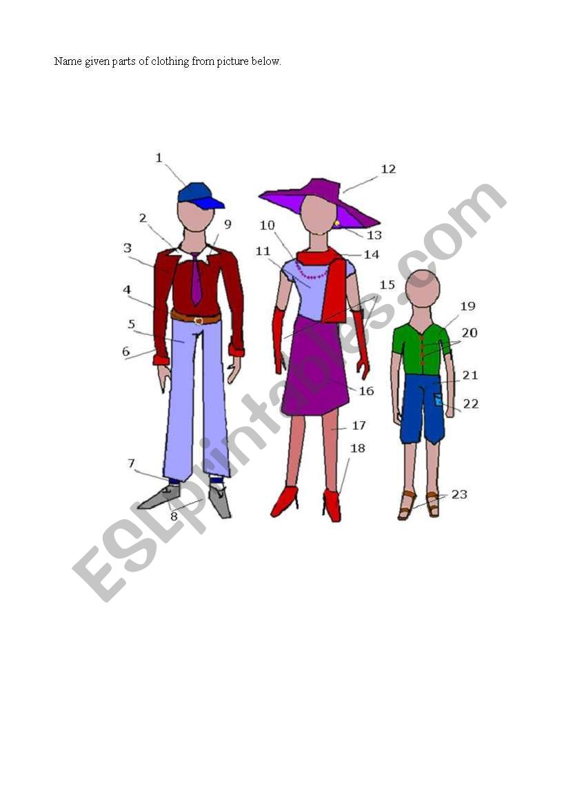 Parts of clothing worksheet