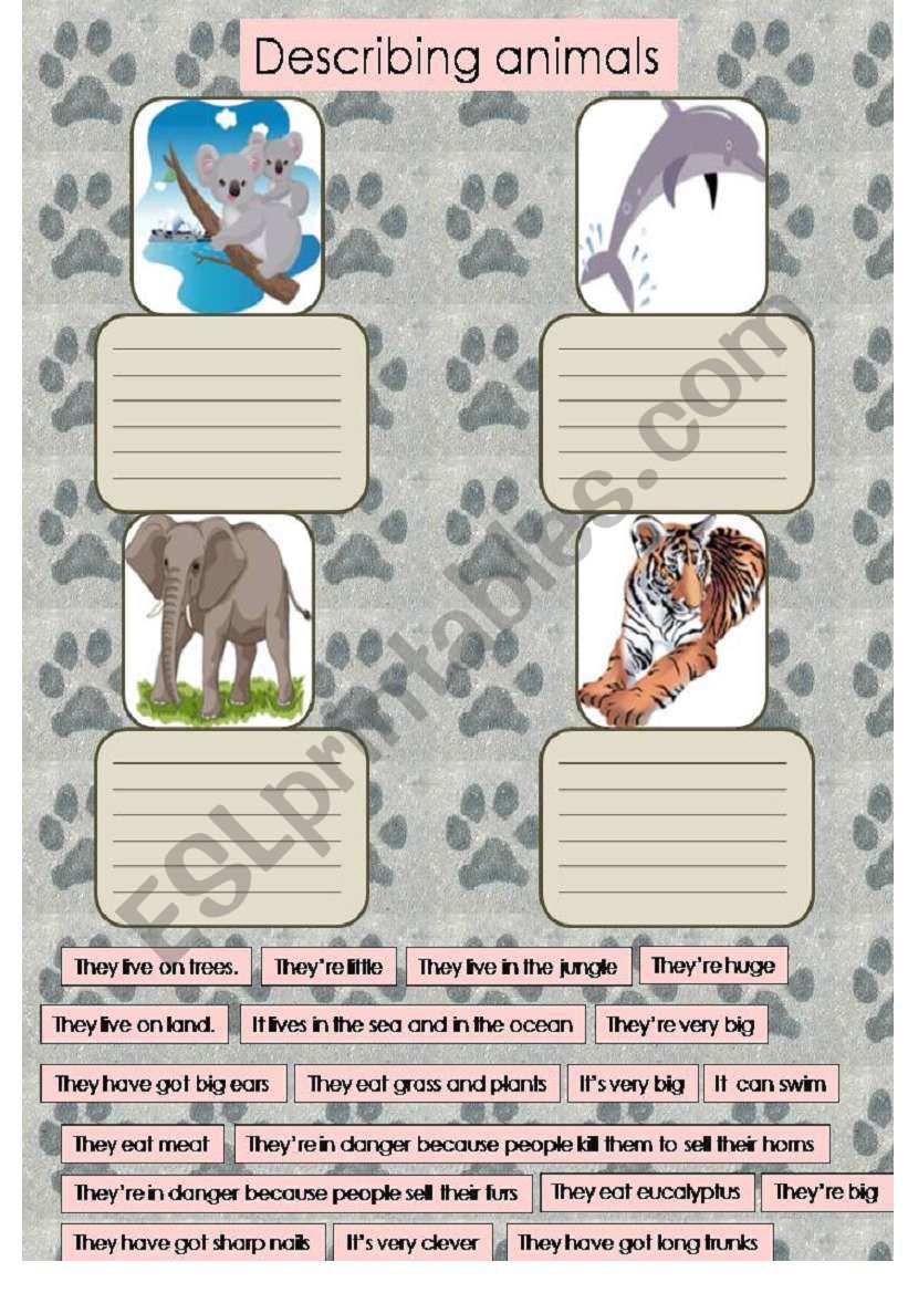 Describing animals worksheet