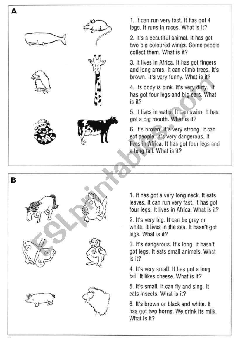 Whos who? worksheet