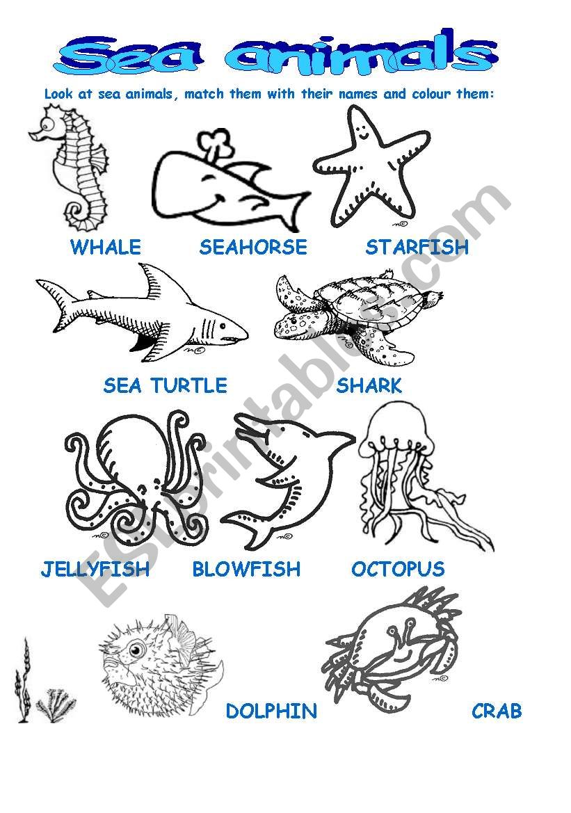 SEA ANIMALS part 1 - ESL worksheet by zeberka