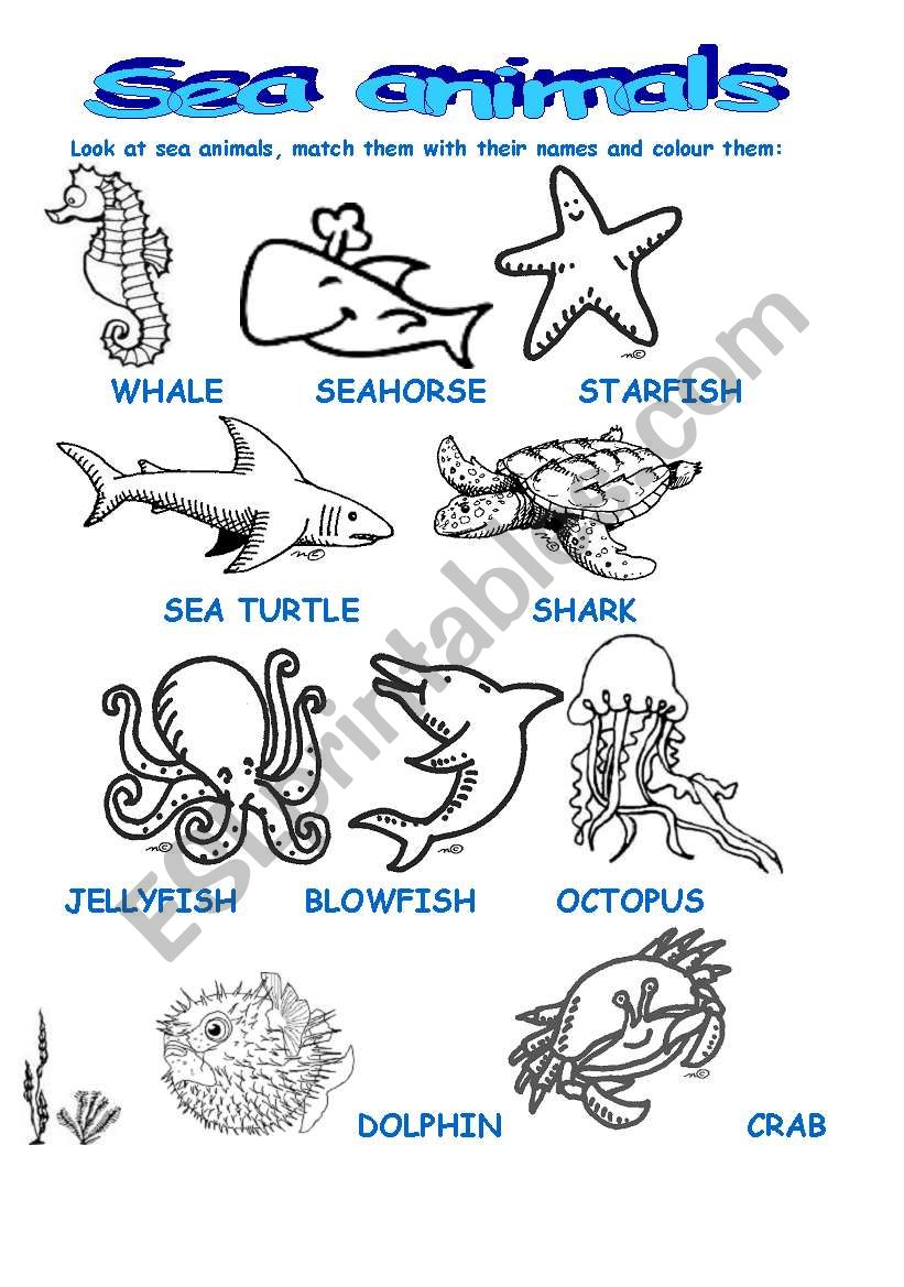 SEA ANIMALS part 1 worksheet