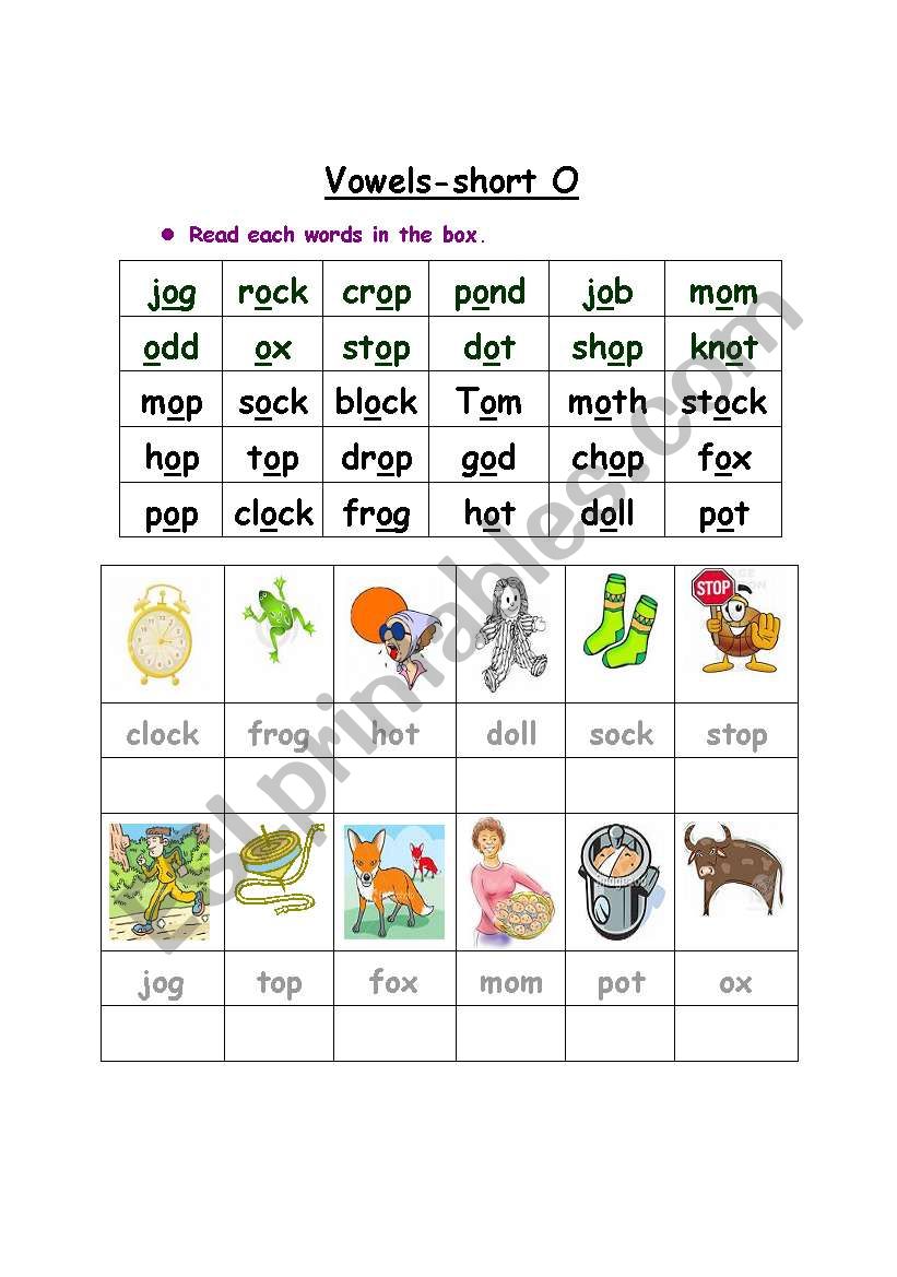 Vowel- short O  worksheet