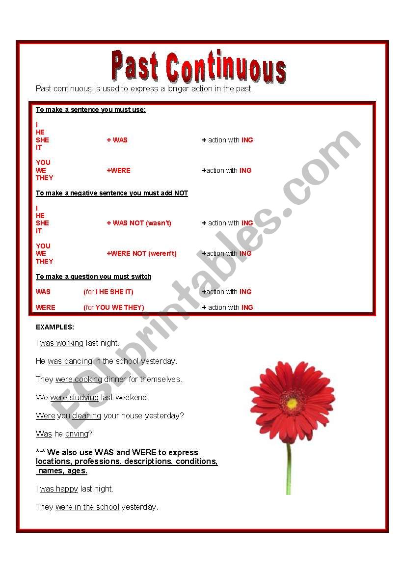 Past Continuous worksheet