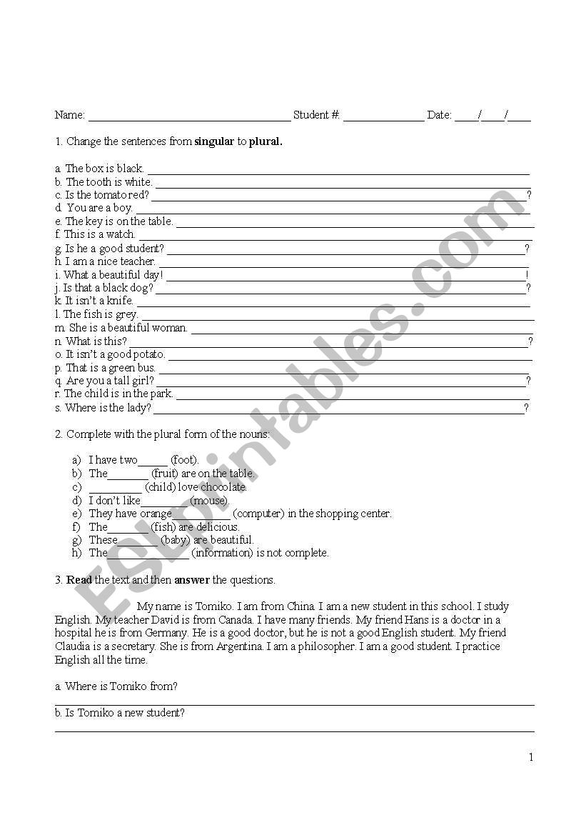 plurals worksheet