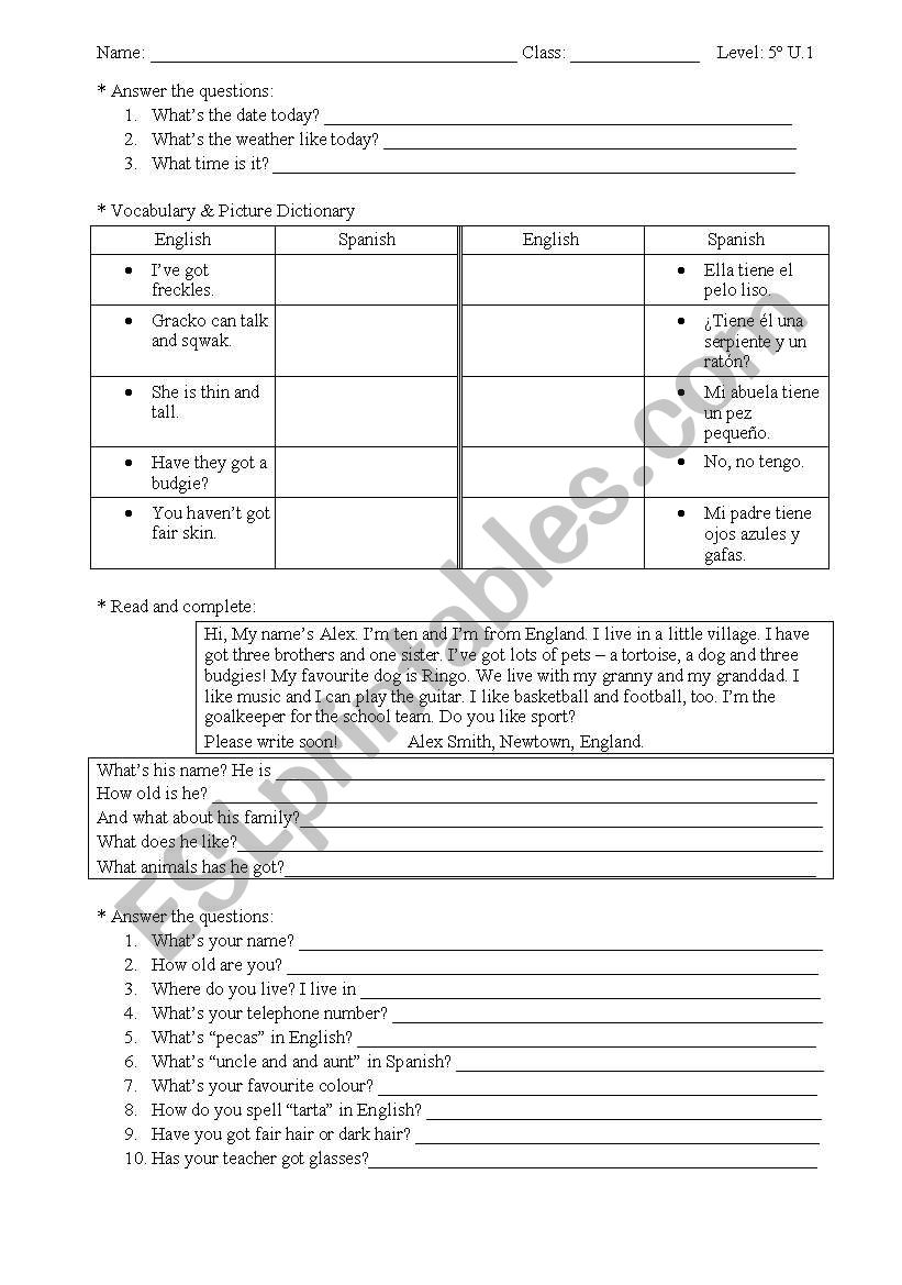 Test. Level Elementary. worksheet