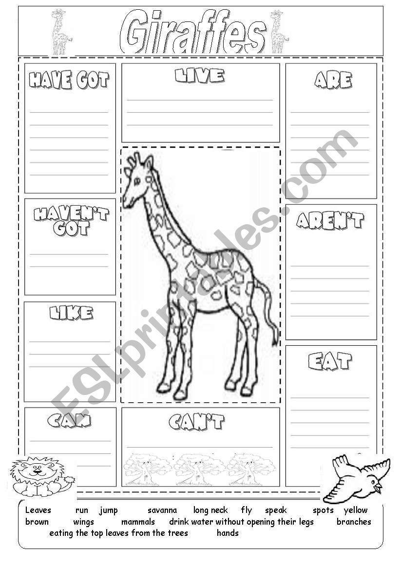 Animal description giraffe worksheet