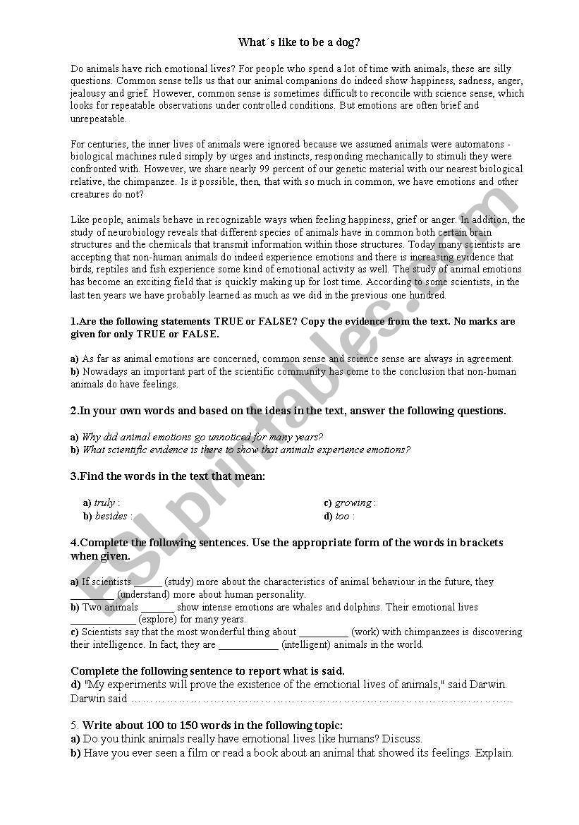 Exam selectividad. WhatÂ´s like to be a dog?