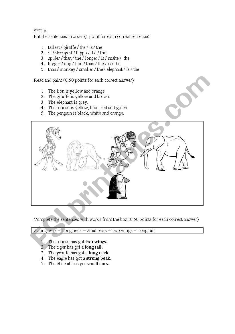 Test for begginers worksheet