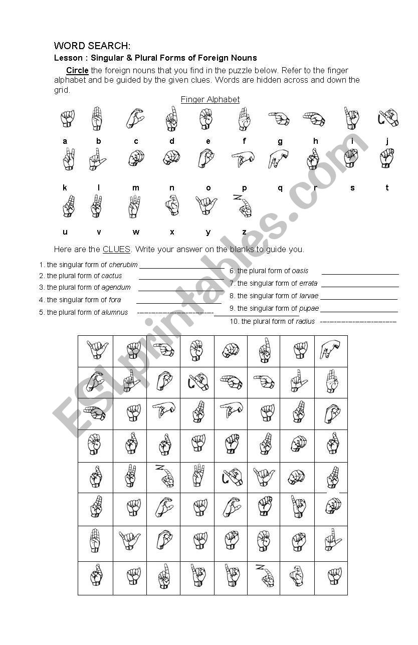 FOREIGN NOUNS WORD SEARCH worksheet