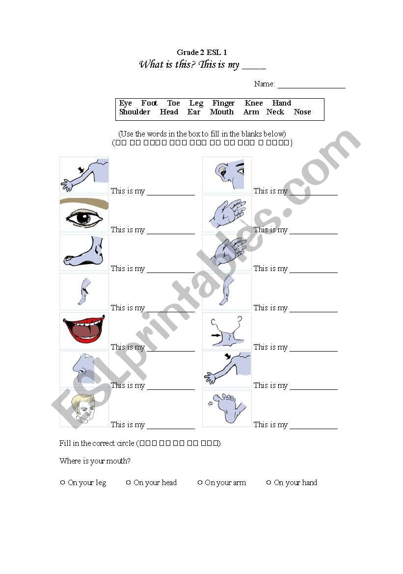 Body Parts Worksheet worksheet