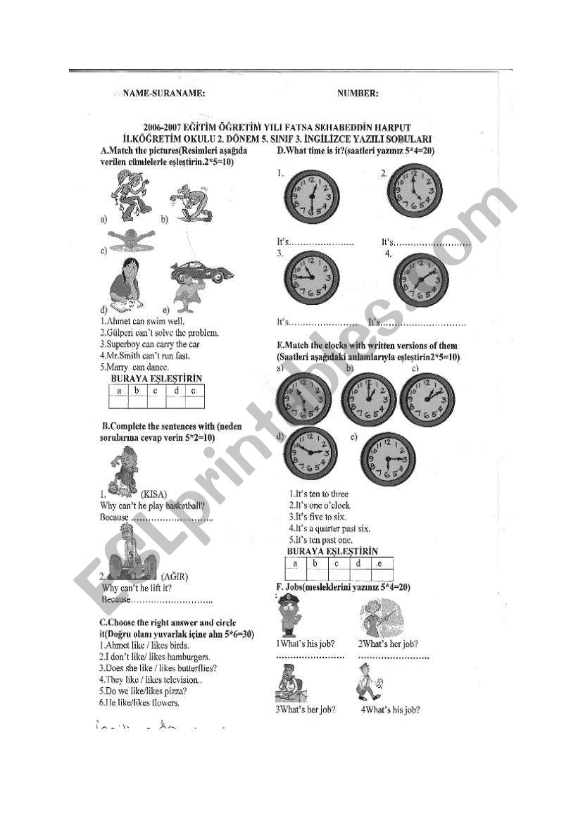 yazl sorular worksheet