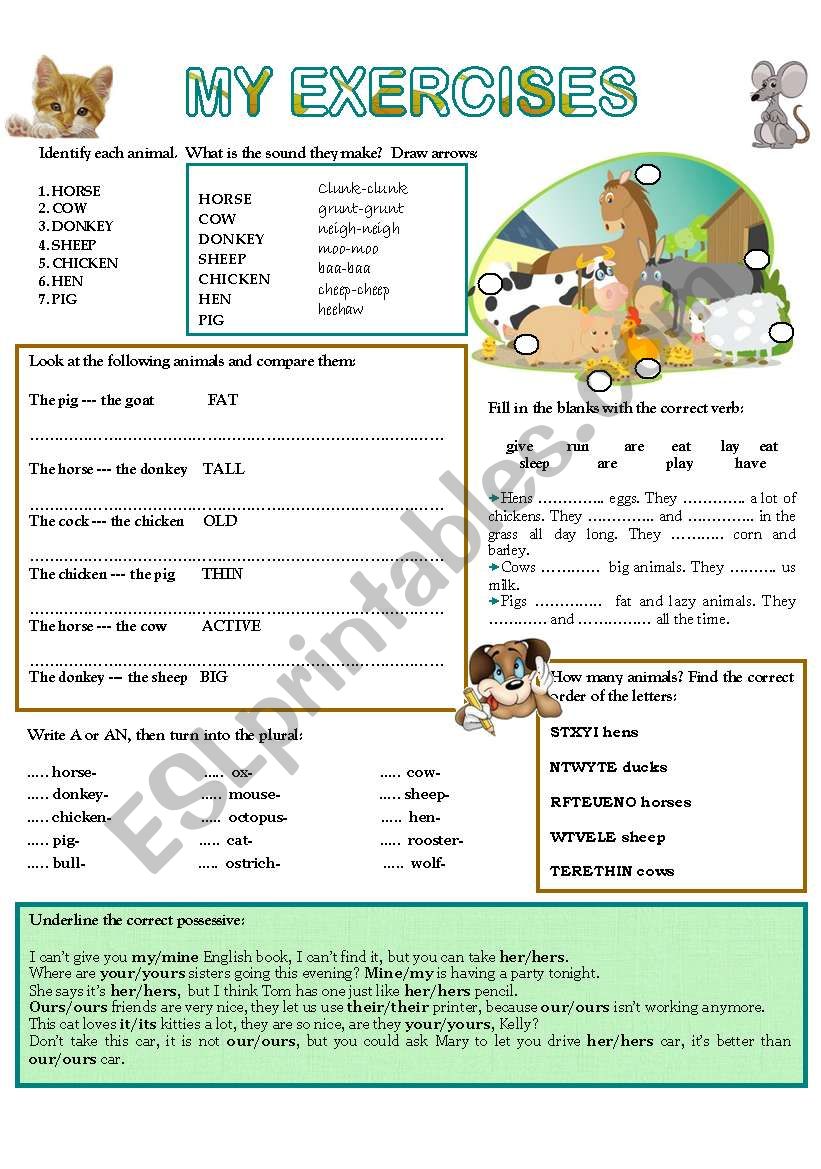 MY EXERCISES 4 worksheet