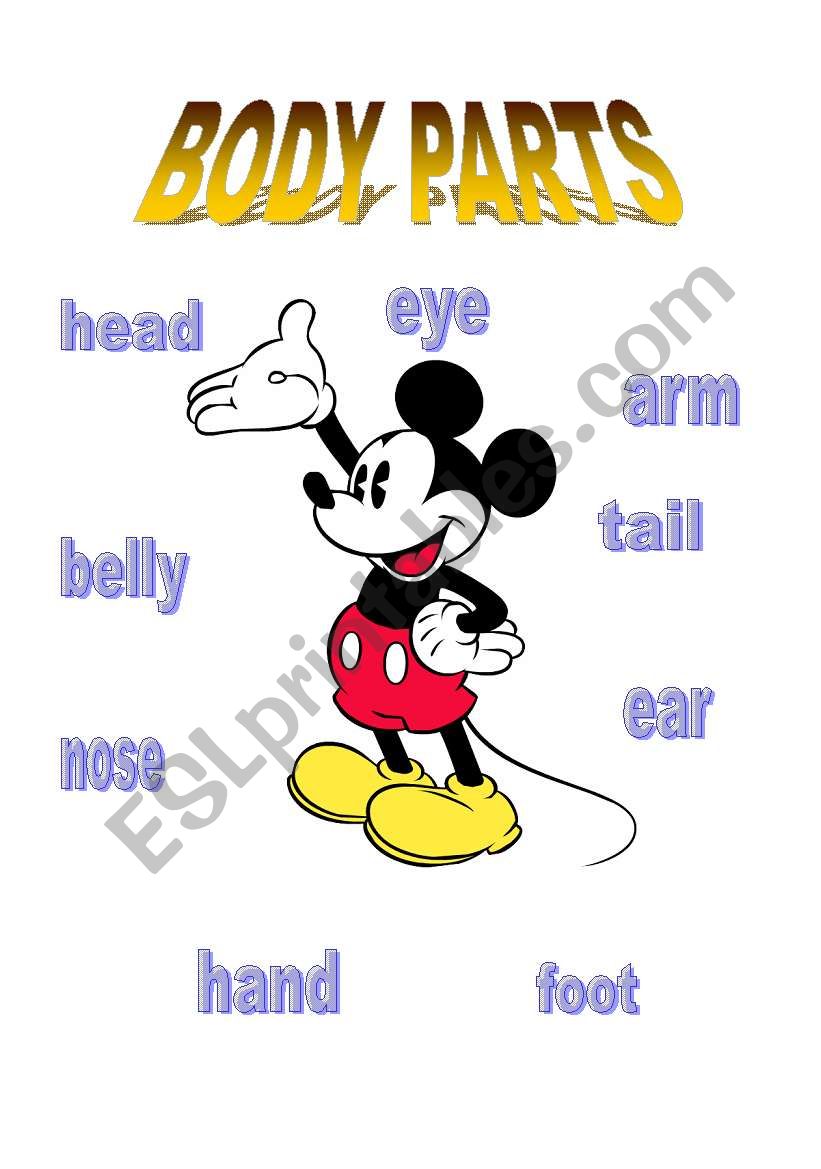 Body parts worksheet