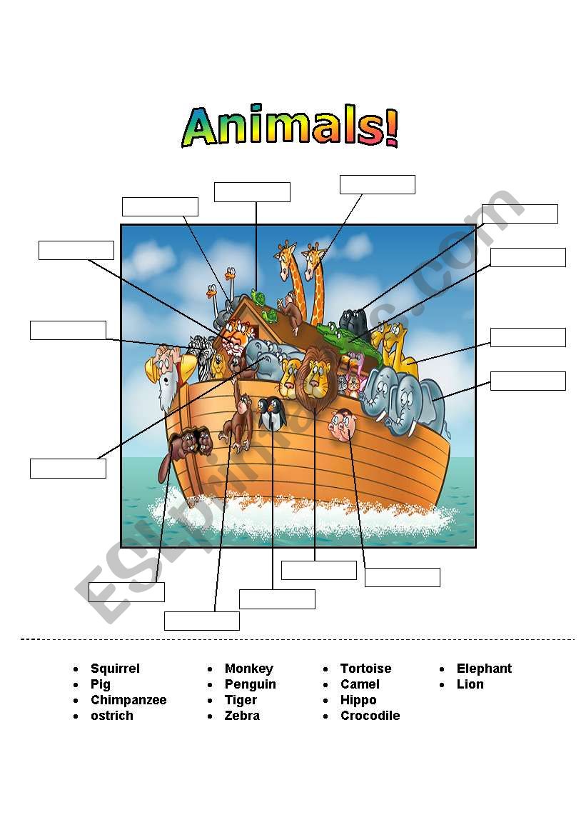 animals worksheet