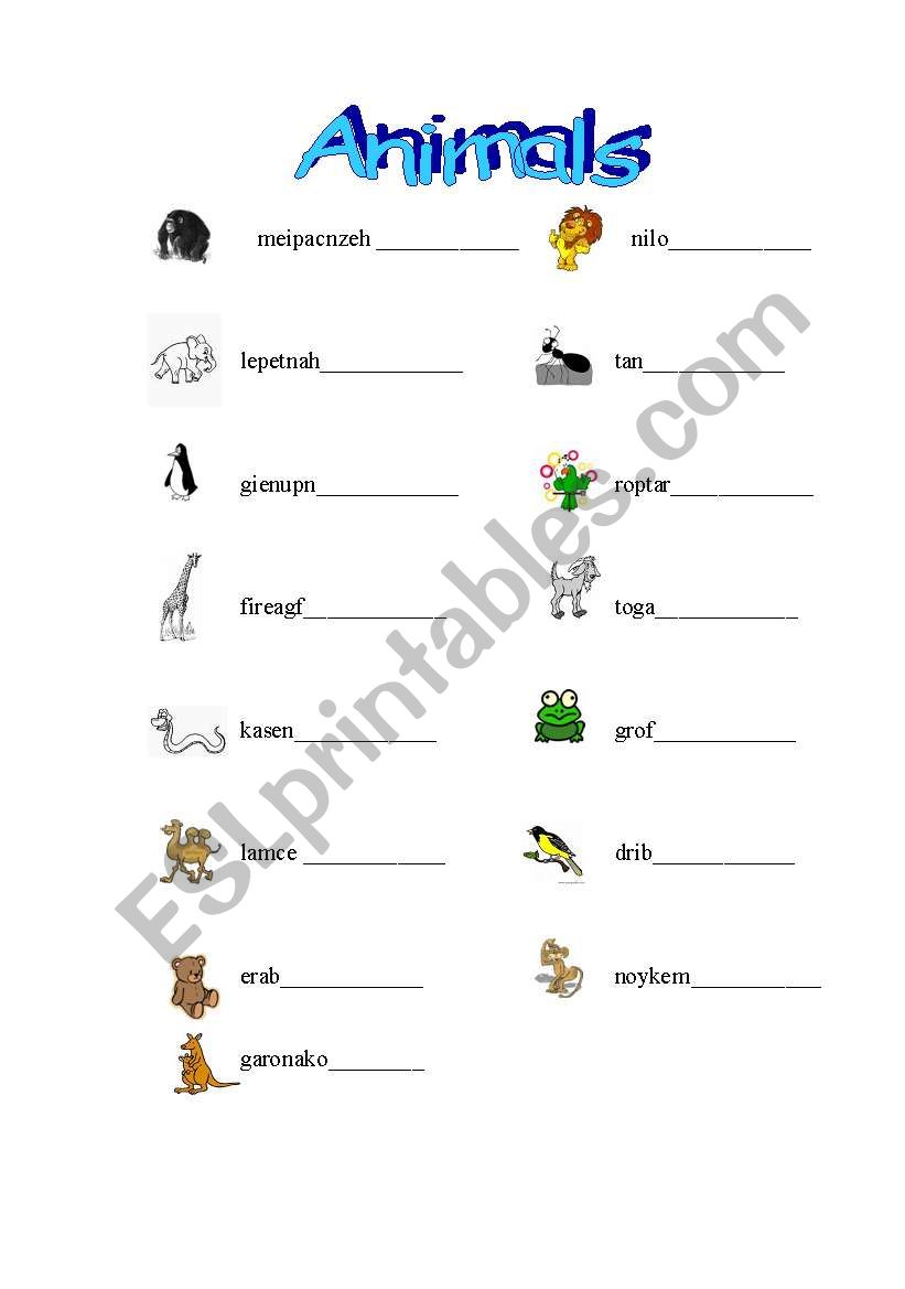 animals worksheet