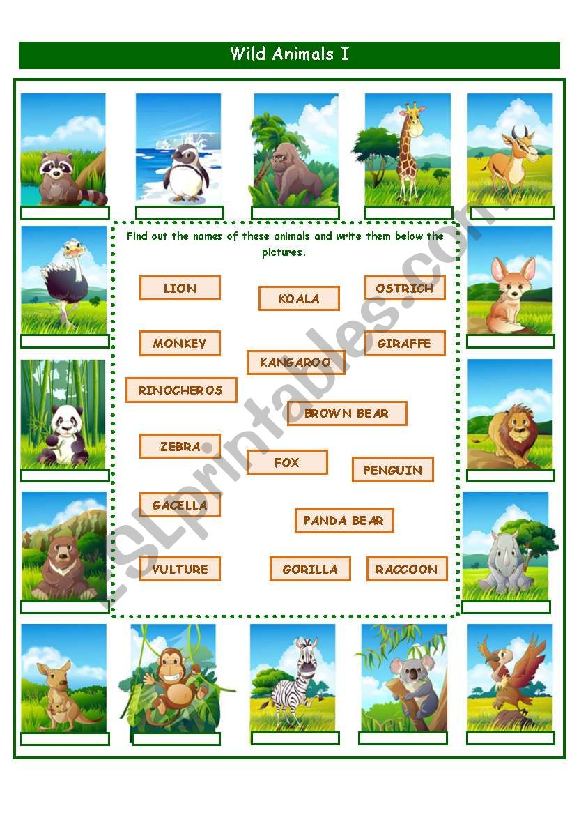 WILD ANIMALS! worksheet