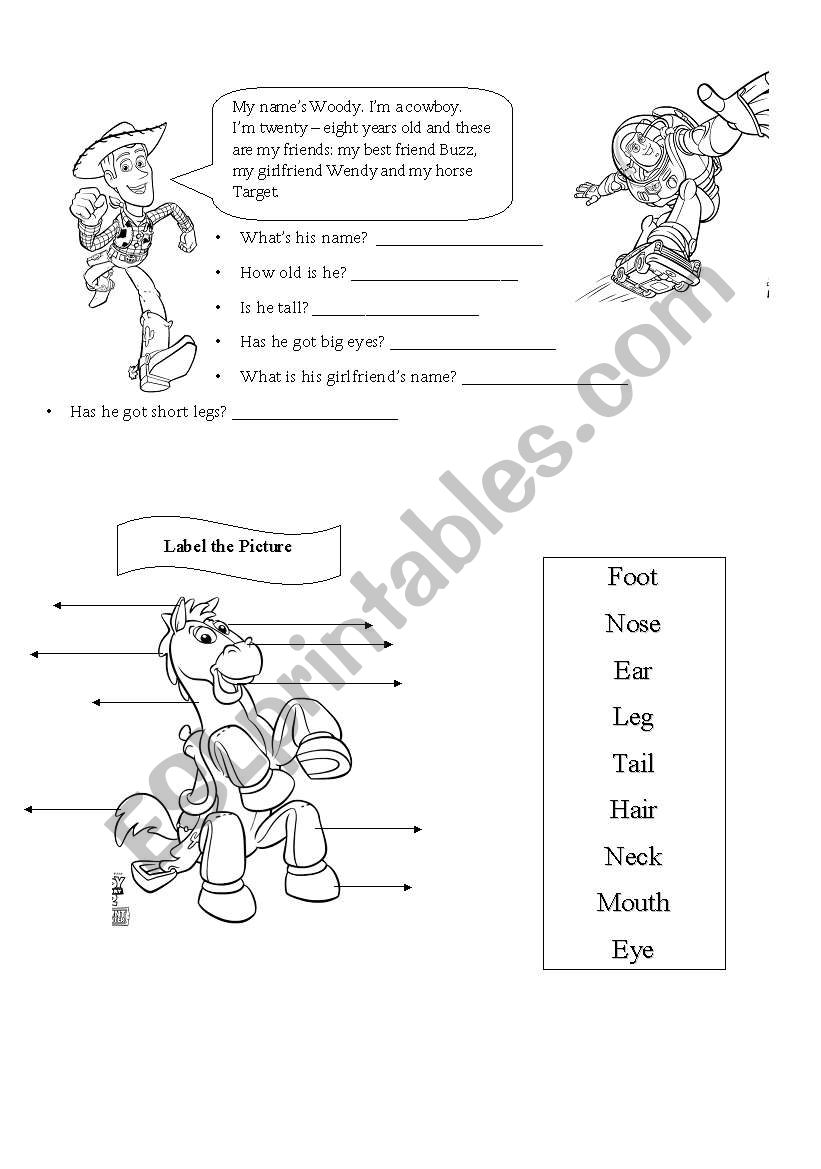  Woody and his friends worksheet