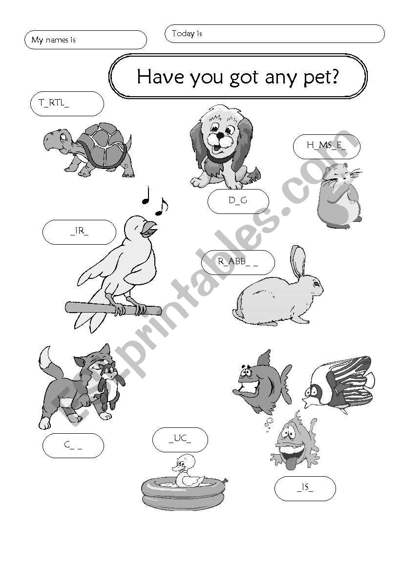 Pets worksheet