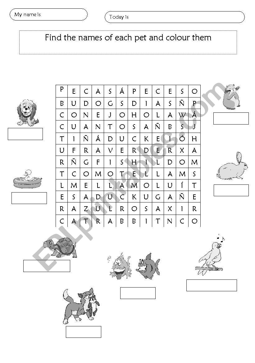 Pets crossword worksheet