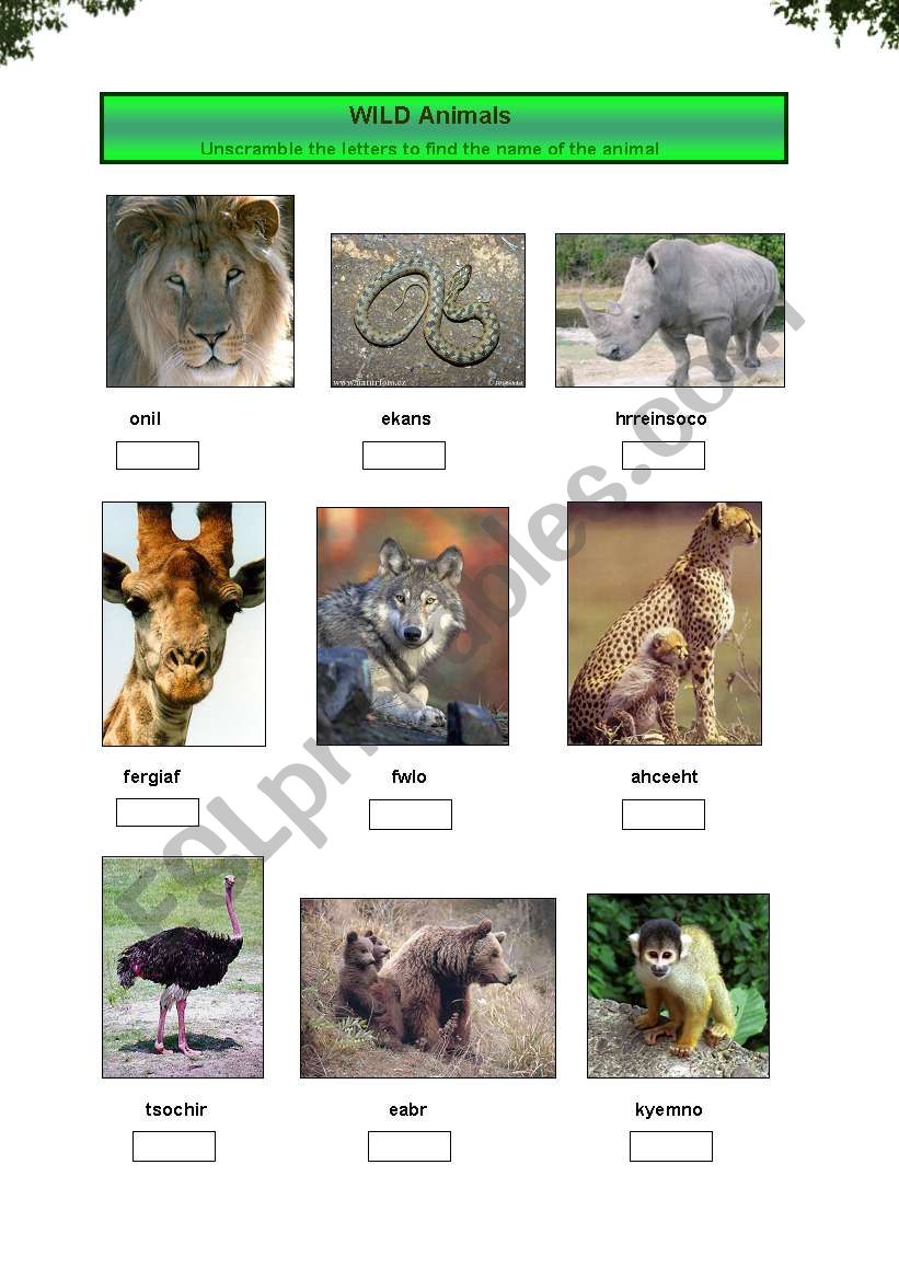 Wild Animals worksheet