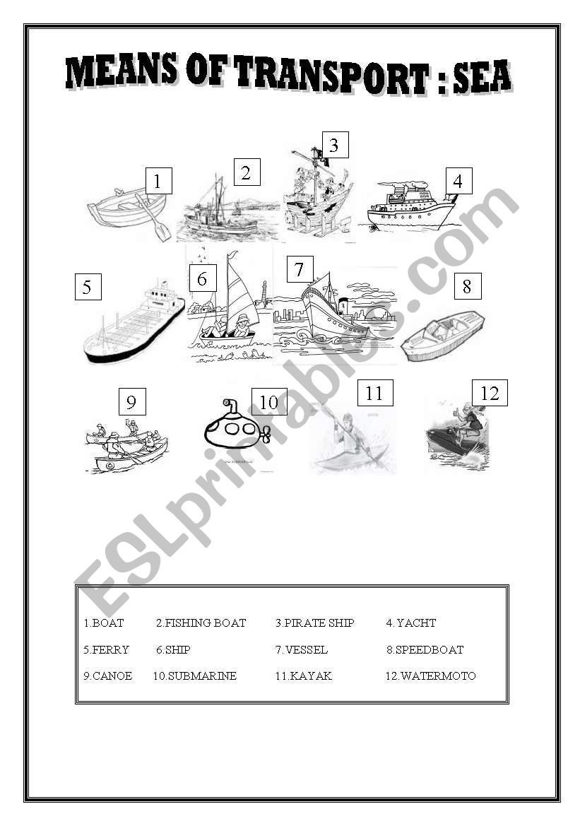 MEANS OF TRANSPORT : SEA worksheet