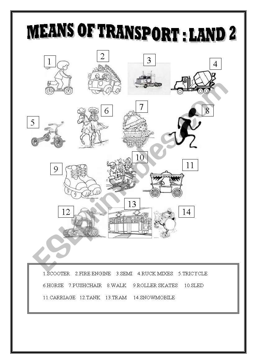 MEANS OF TRANSPORT : LAND 2 worksheet