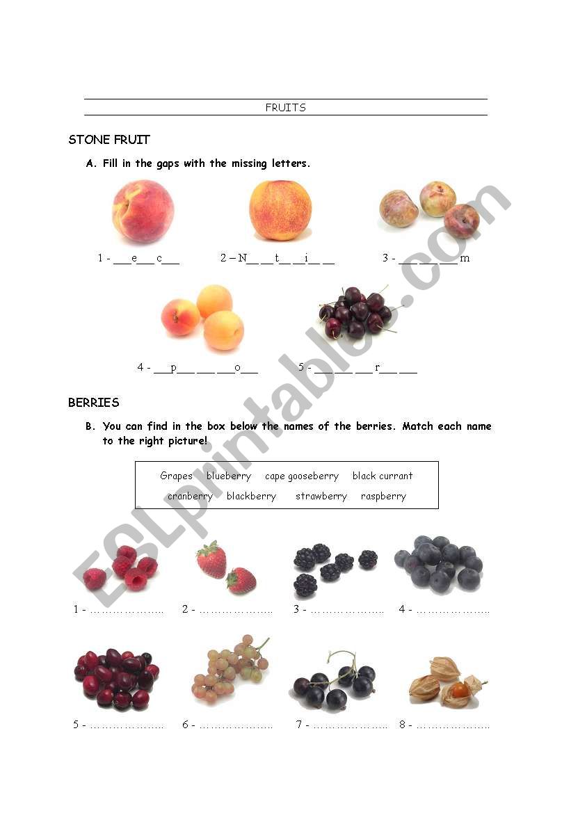 Fruit worksheet