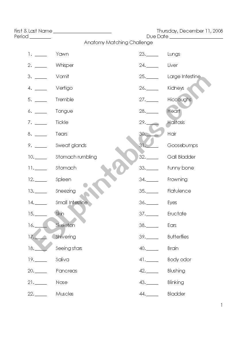 Anatomy Matching worksheet