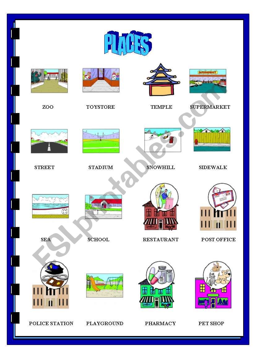 FLASHCARDS 2-3 worksheet