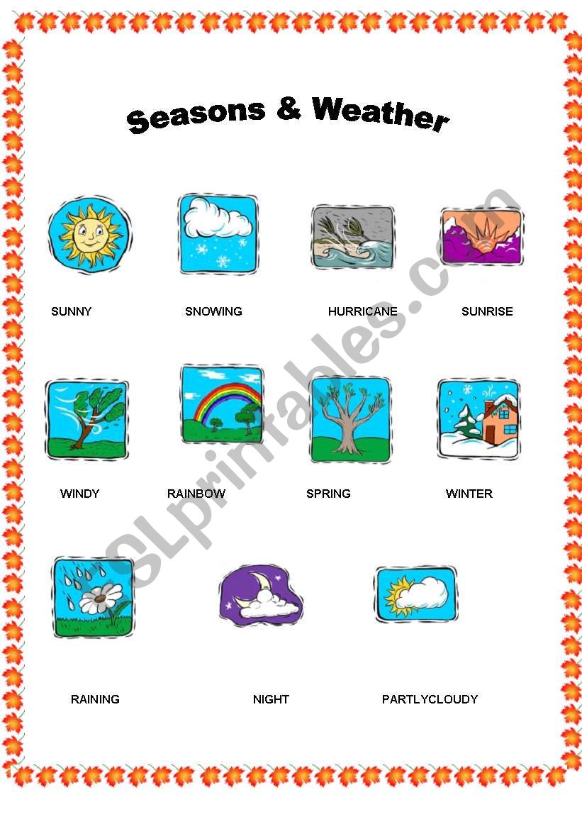 FLASHCARDS 1-2 worksheet