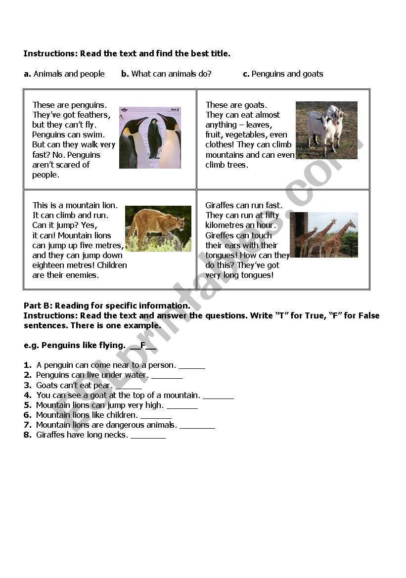 READING worksheet