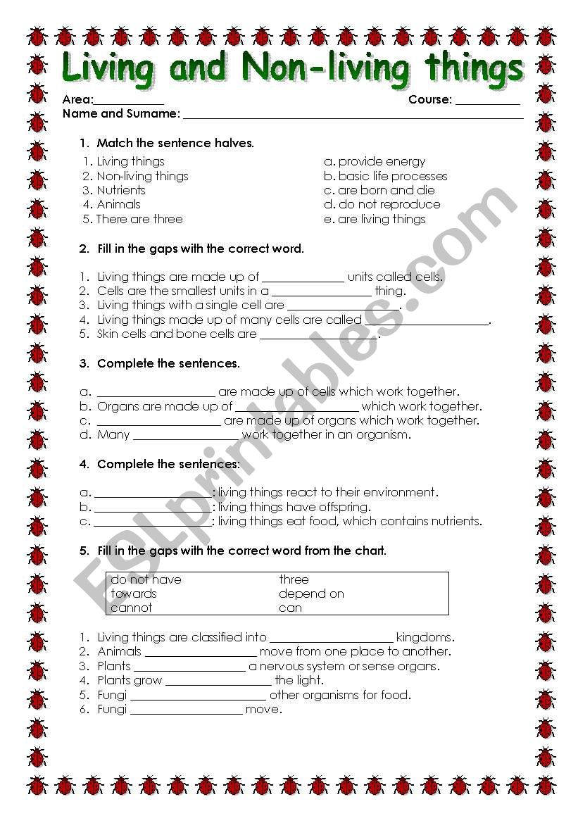 LIVING AND N-LIVING THINGS worksheet