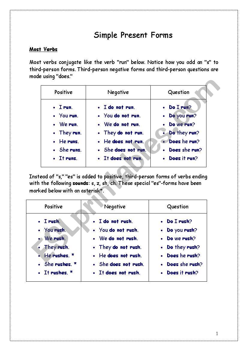 simple present forms worksheet