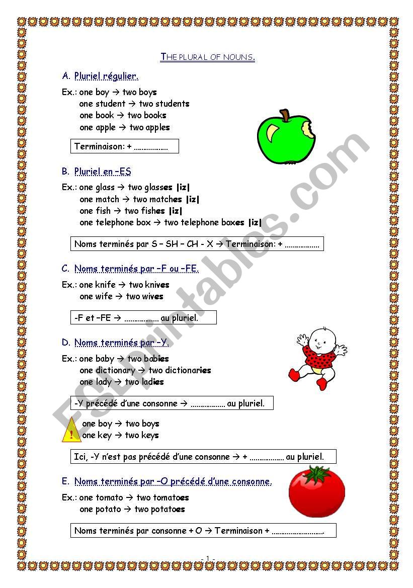 Grammar sheet the plural of nouns