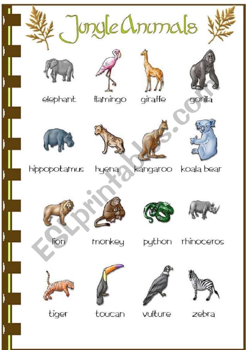 Jungle animals worksheet