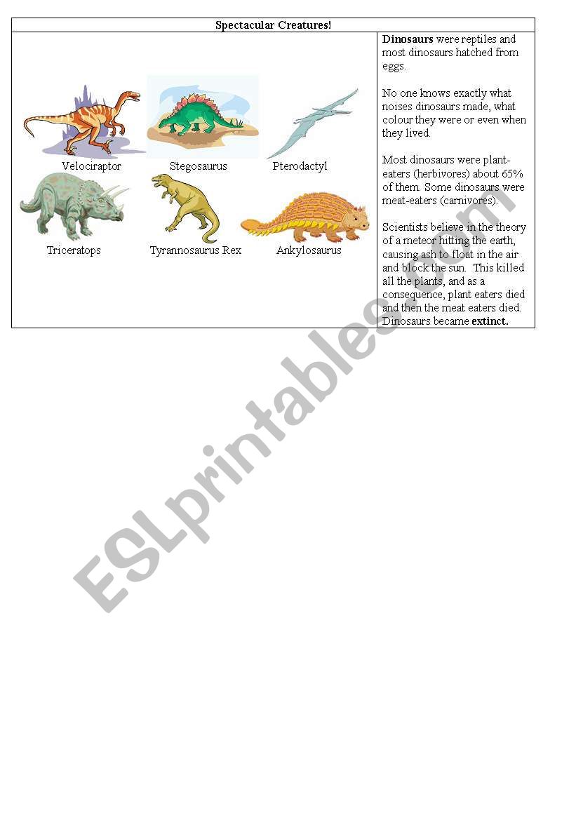 Spectacular Creatures!!! worksheet