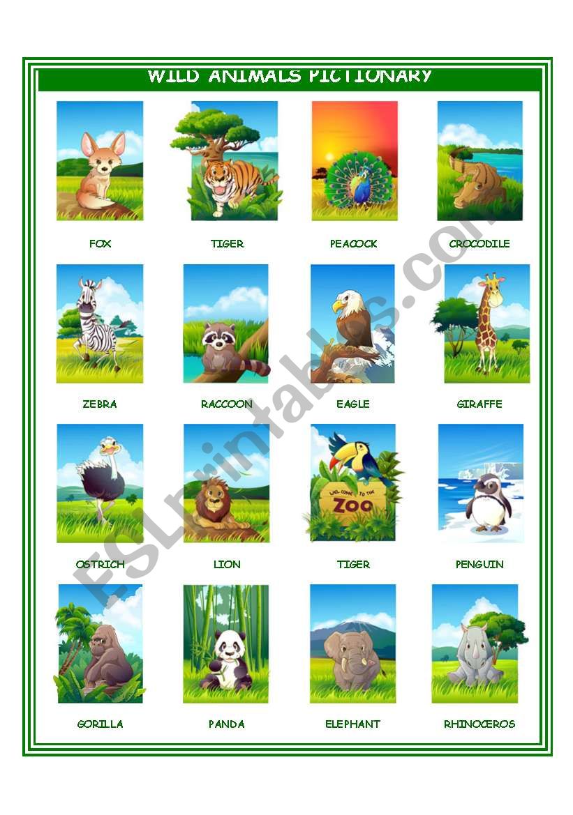 wild animals pictionary I worksheet